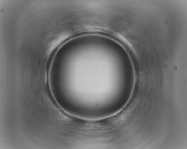 X0000089671269200706211145