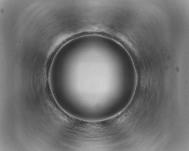 X0000089671270200706211145