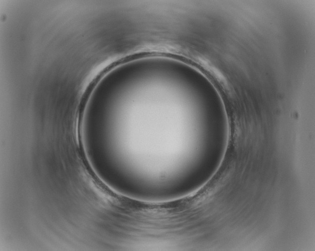X0000089671272200706211145
