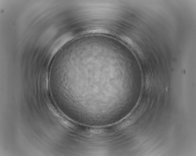 X0000089671274200706211145