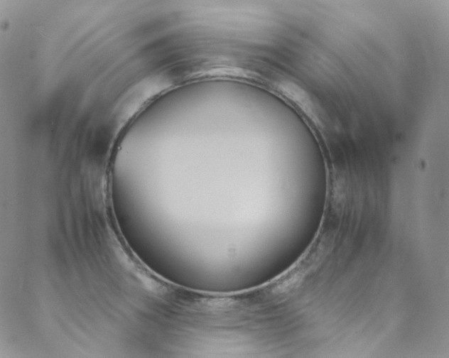 X0000089671282200706211145