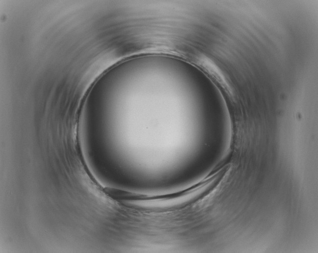 X0000089671284200706211145