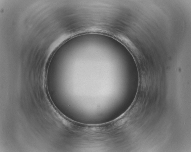 X0000089671286200706211145