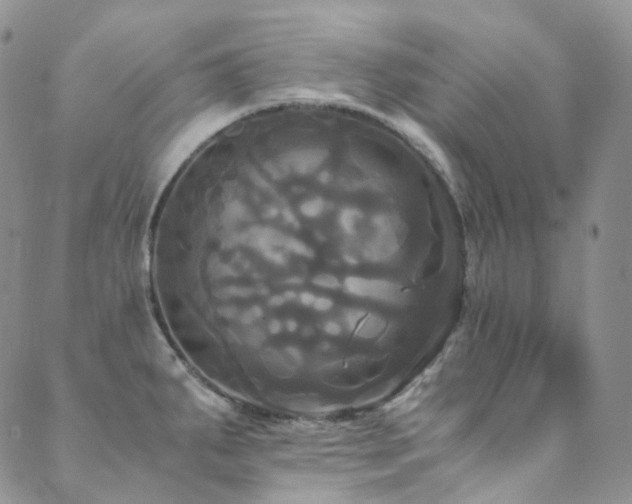 X0000089671287200706211145