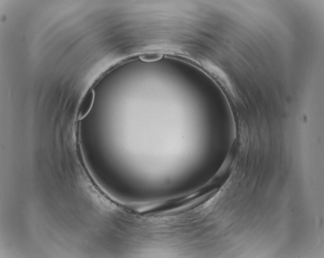 X0000089671288200706211145