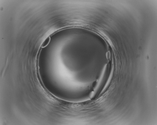 X0000089671291200706211145