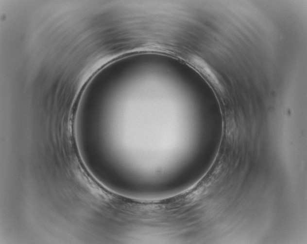 X0000089671292200706211145
