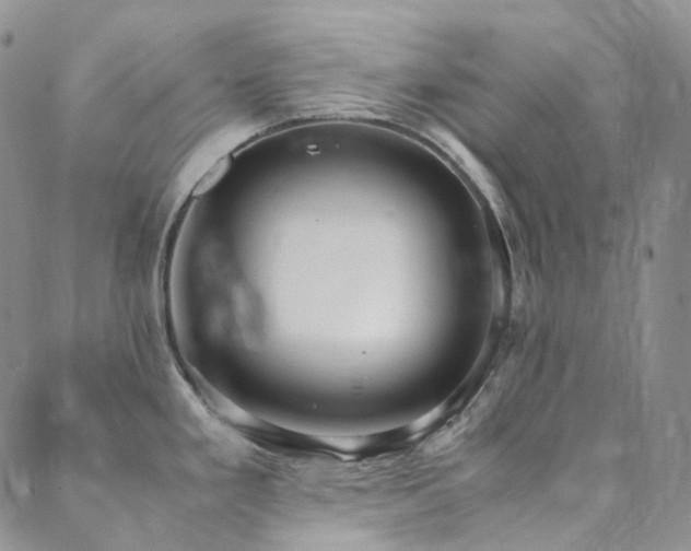 X0000089671293200706211145