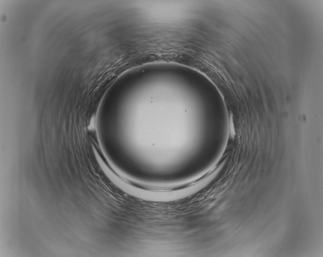 X0000089671298200706211143