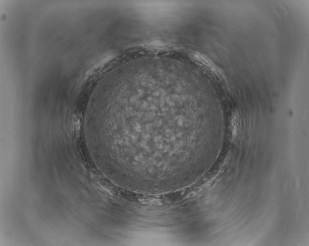 X0000089671302200706211144