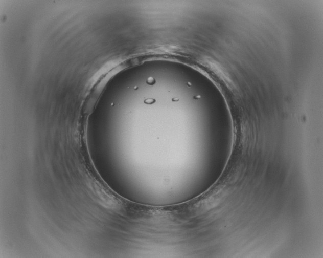 X0000089671308200706211144