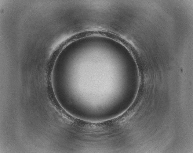 X0000089671311200706211144