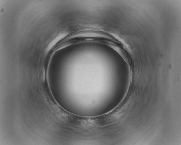 X0000089671317200706211144