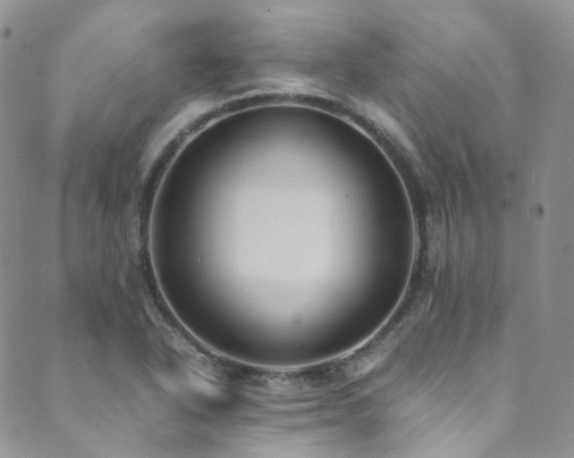 X0000089671318200706211144