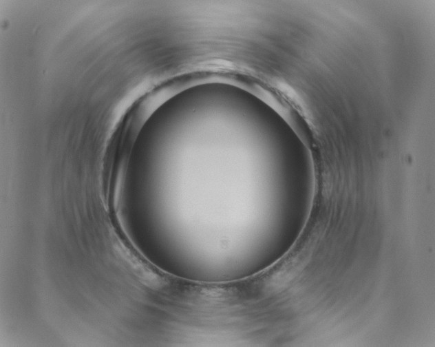 X0000089671326200706211144
