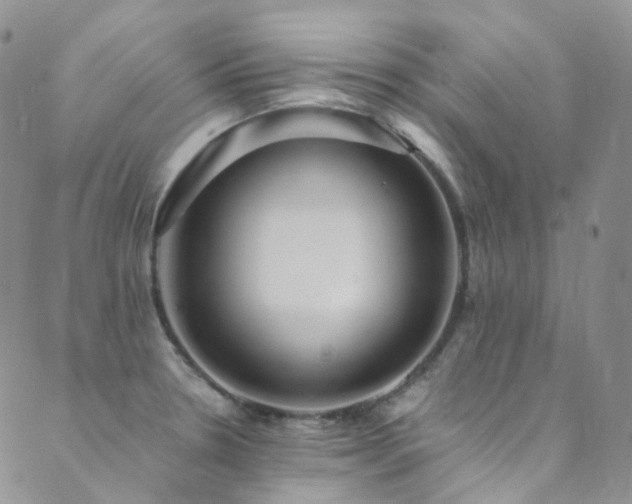X0000089671330200706211144