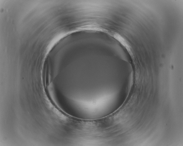 X0000089671334200706211144
