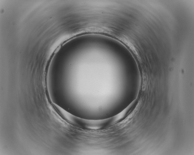 X0000089671342200706211144