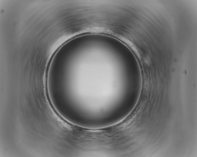 X0000089671343200706211144