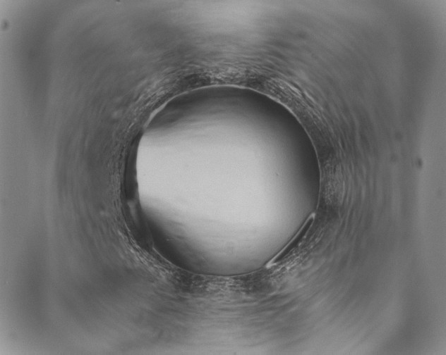 X0000089671345200706211143