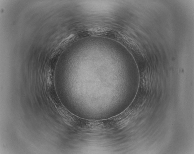 X0000089671346200706211143