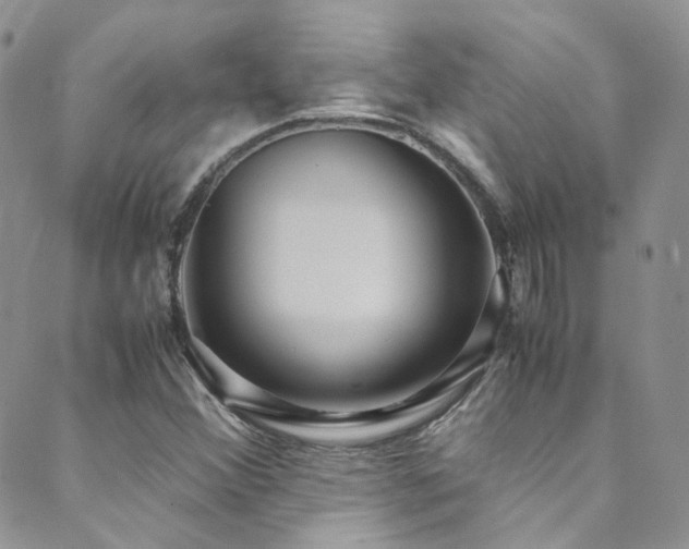 X0000089671356200706211143