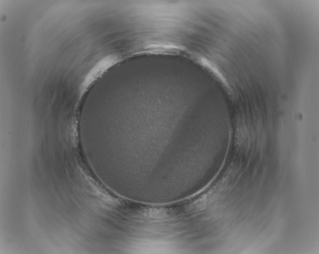 X0000089671362200706211143