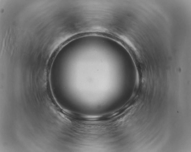 X0000089671364200706211143
