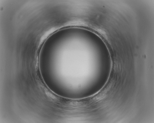 X0000089671366200706211143