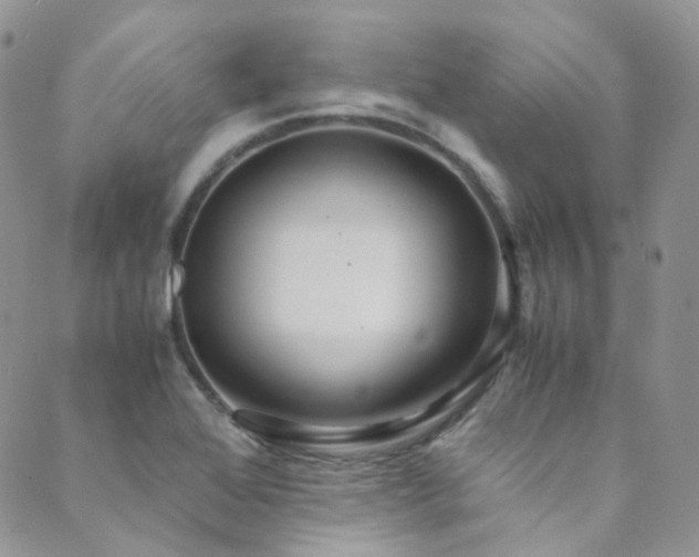 X0000089671368200706211143