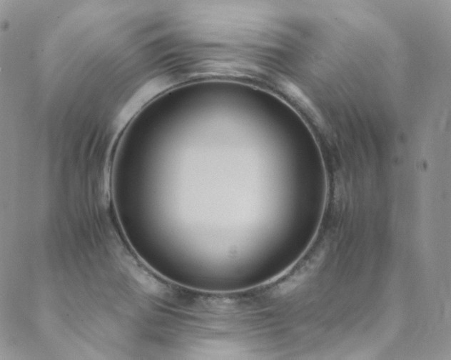 X0000089671370200706211143