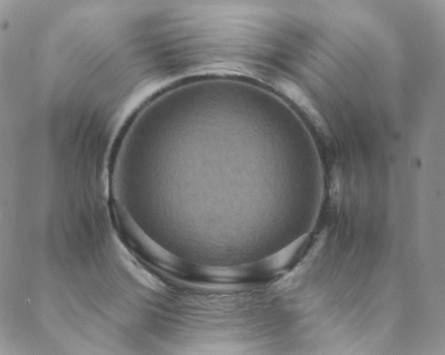 X0000089671372200706211143
