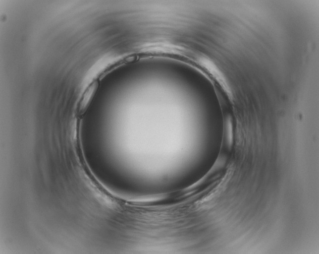 X0000089671376200706211143