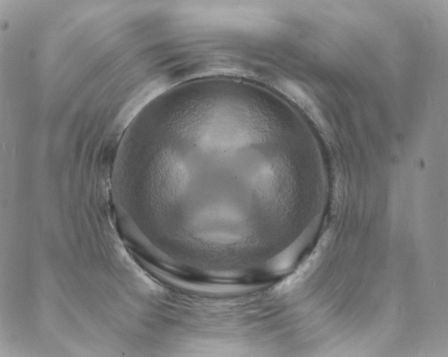 X0000089671377200706211143
