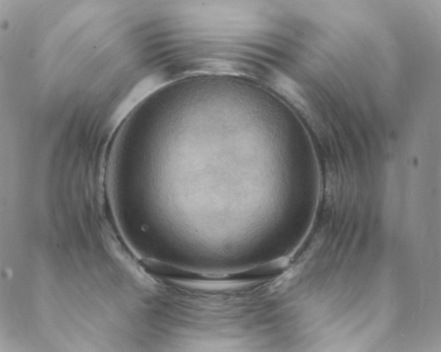 X0000089671378200706211143