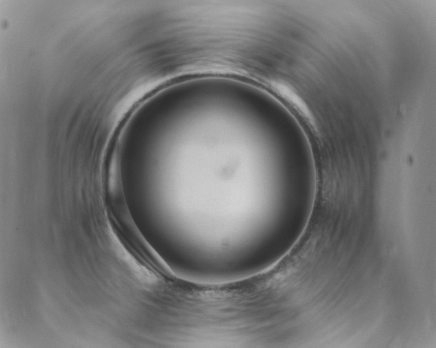 X0000089671380200706211143