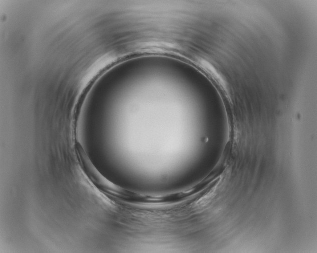 X0000089671384200706211143