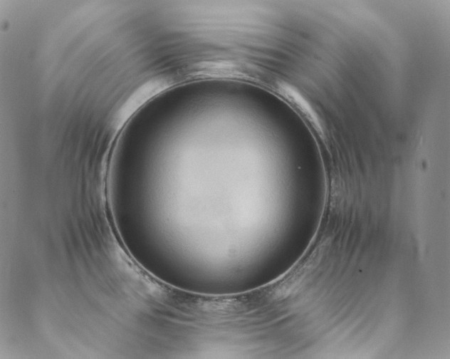 X0000089671386200706211143