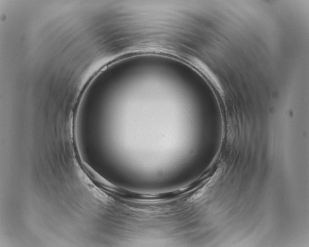 X0000089671388200706211143
