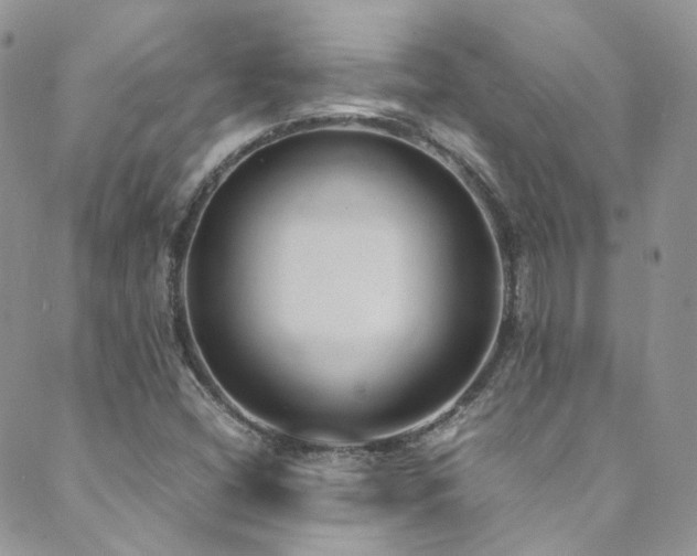 X0000089671404200706211142