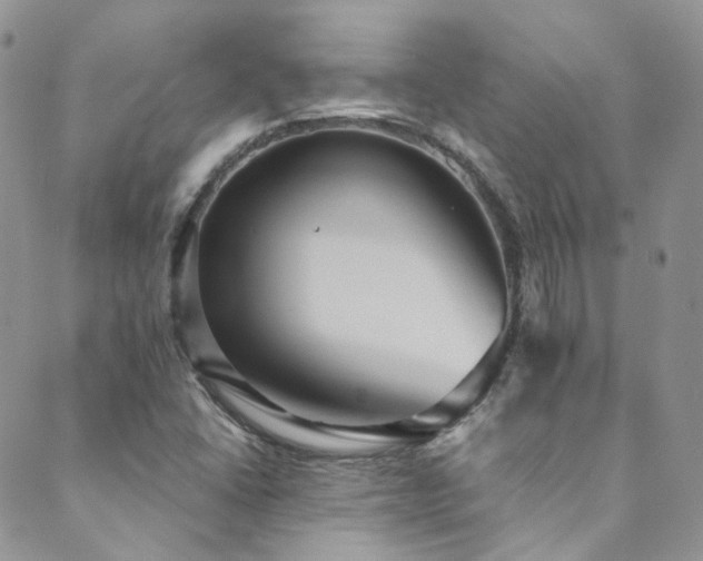 X0000089671406200706211142