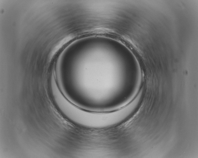 X0000089671410200706211142