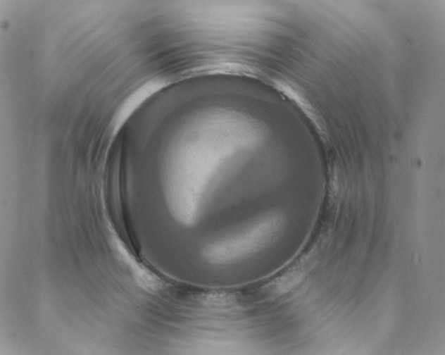 X0000089671418200706211142