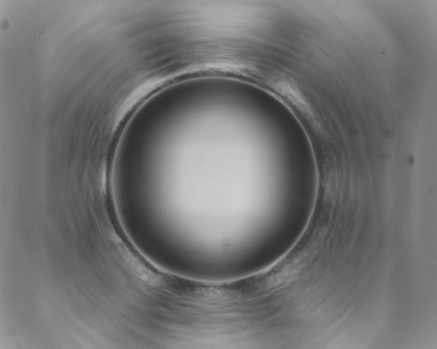 X0000089671420200706211142
