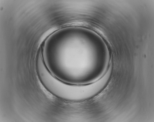 X0000089671426200706211142