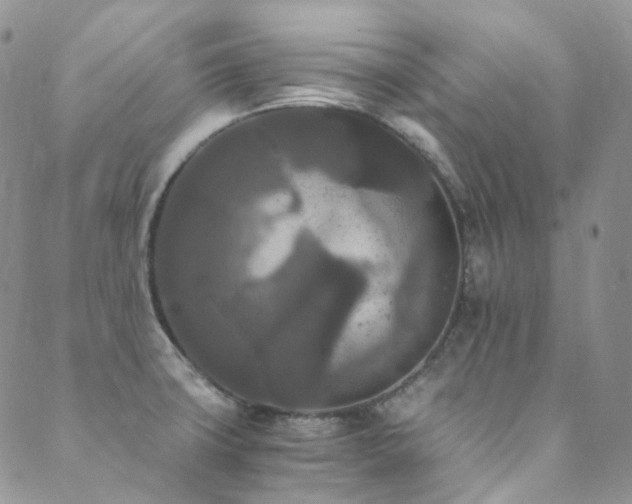 X0000089671427200706211142