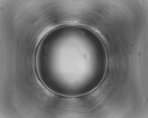 X0000089671432200706211143