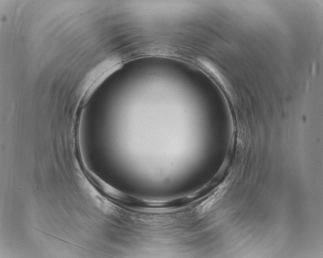 X0000089671434200706211143