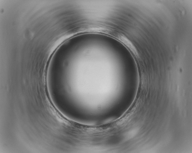 X0000089671436200706211143
