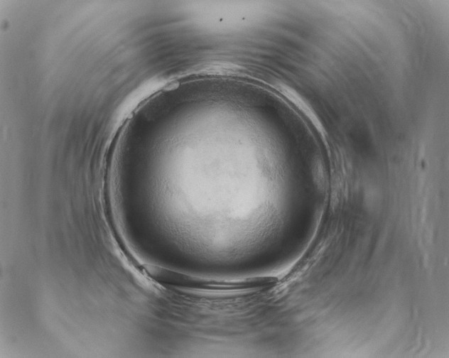 X0000089671437200706211143